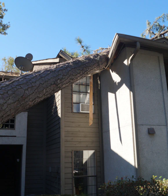 Emergency Tree Services