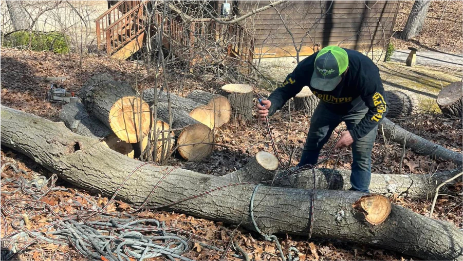 Tree Removal 2 Tree Removal 2