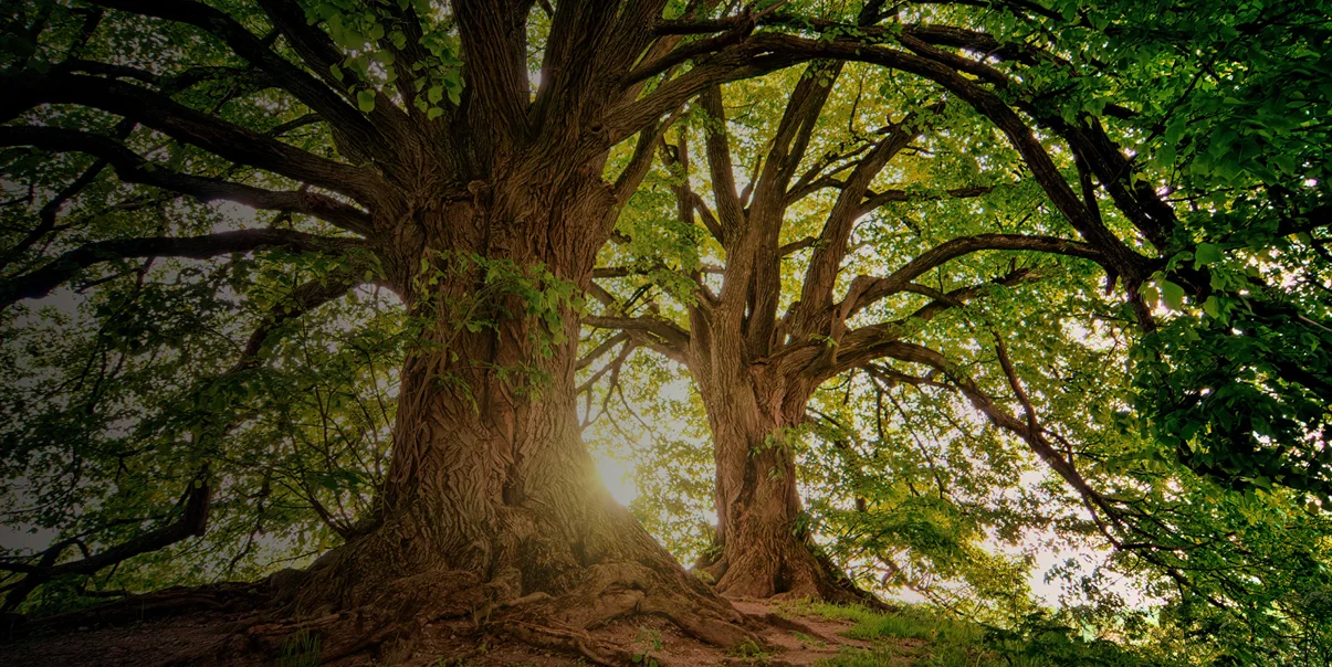 Winds Of Change Hero 3