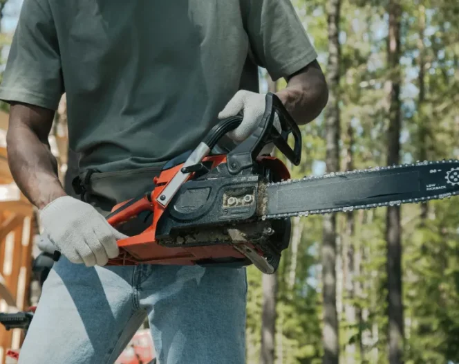 local tree trimming